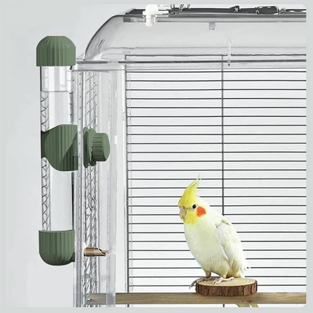 DtopbuyAge - Distributeur D'eau Automatique Vert 280 Ml Pour Oiseaux DtopbuyAge - Image 5
