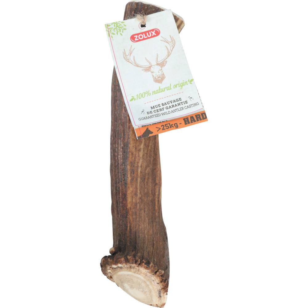 Zolux - zolux - Bois de Cerf entier XXL friandise à mâcher pour chien de plus de 25 kg - Imagen 2