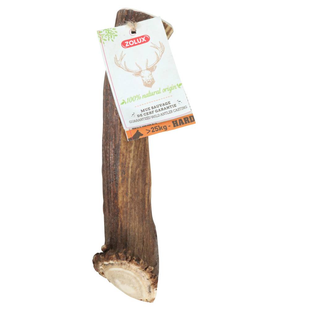 Zolux - zolux - Bois de Cerf entier XXL friandise à mâcher pour chien de plus de 25 kg - Imagen 1