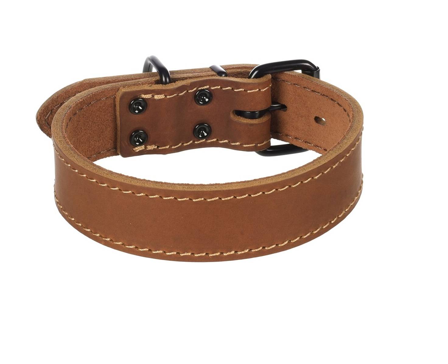 Eden - Collier Chien Montana en cuir marron XXL 53-63cm 40mm - Image 1