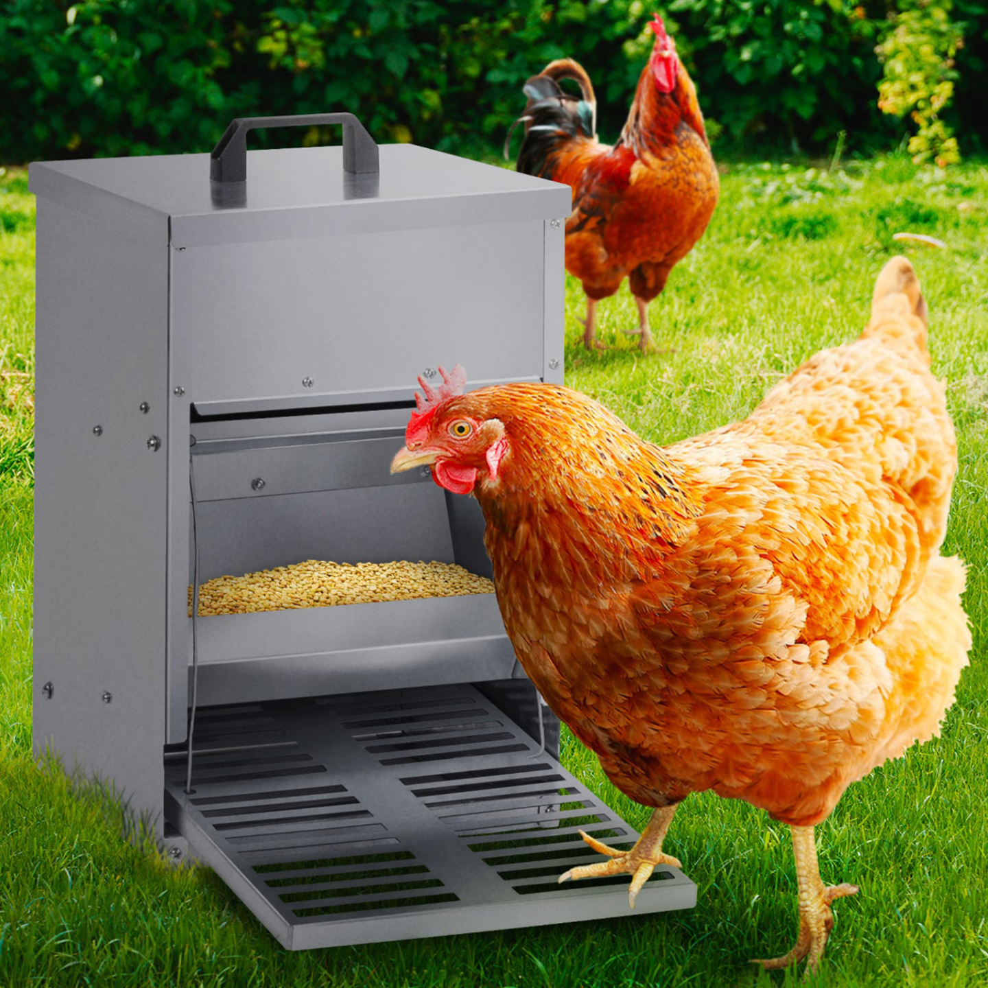 Mangeoire à pédale pour poules distributeur automatique 5 kg anti-nuisibles - Image 1
