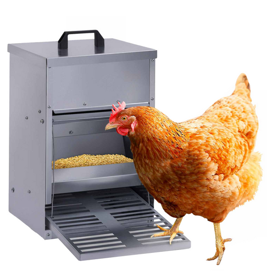 Mangeoire à pédale pour poules distributeur automatique 5 kg anti-nuisibles - Image 2