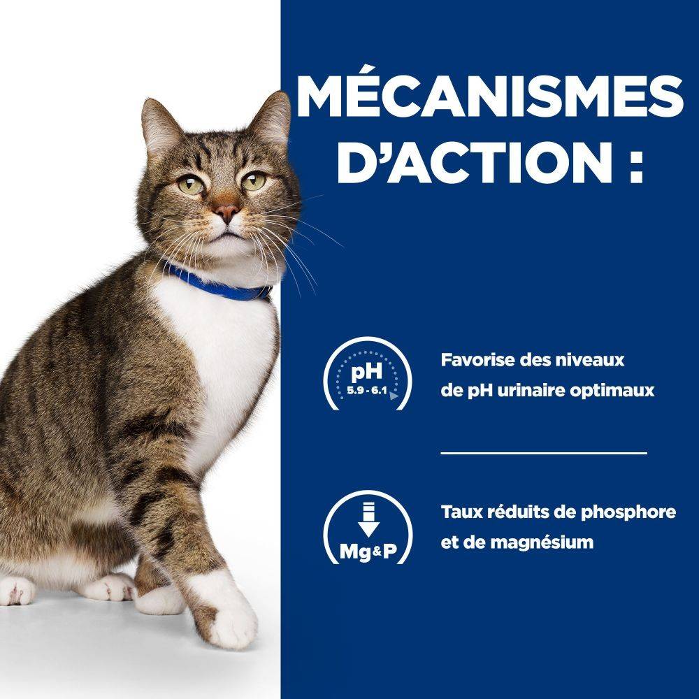 CROQUETTES CHAT ADULT PRESCRIPTION DIETS S/D URINARY CARE - HILL'S 1,5 kg - Image 4