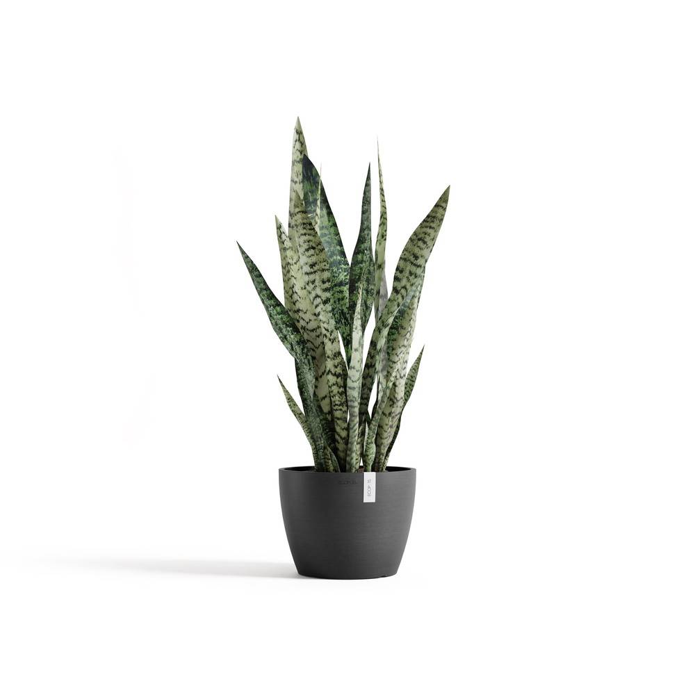 Ecopots - Pot Rond Stockholm 24 Gris Foncé - Ø 23,2 x H. 17,6 cm - 5,4 L ECOPOTS - Imagen 1