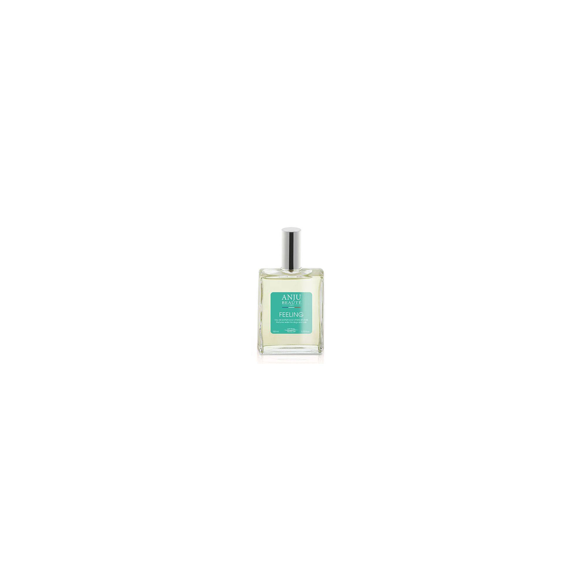 Anju Beaute - Parfum Anju Feeling 100 ml ANJU BEAUTÉ