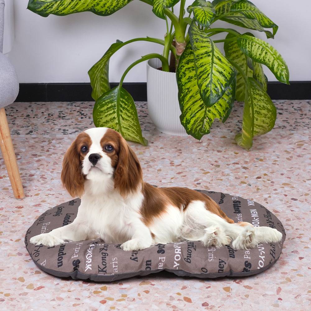 Ferplast - FERPLAST Panier Chien Chat - Coussin pour Chien Chat - Lavable en Machine - Tapis Chien Chat pour Niches et Voitures - Lit pour Chien Chat - Relax, - Imagen 5