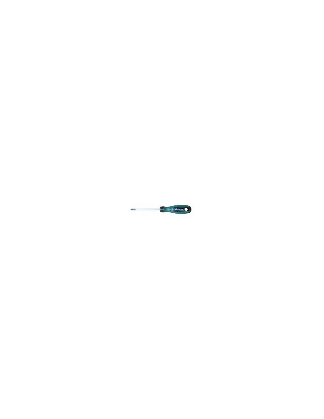 Outifrance - Tournevis Tamper T6 60 Mm - Outifrance