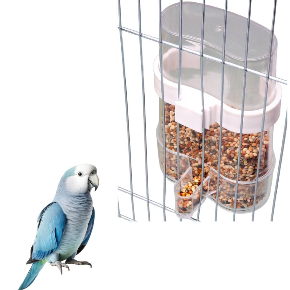 Mangeoire à eau pour oiseaux - IntiMeg