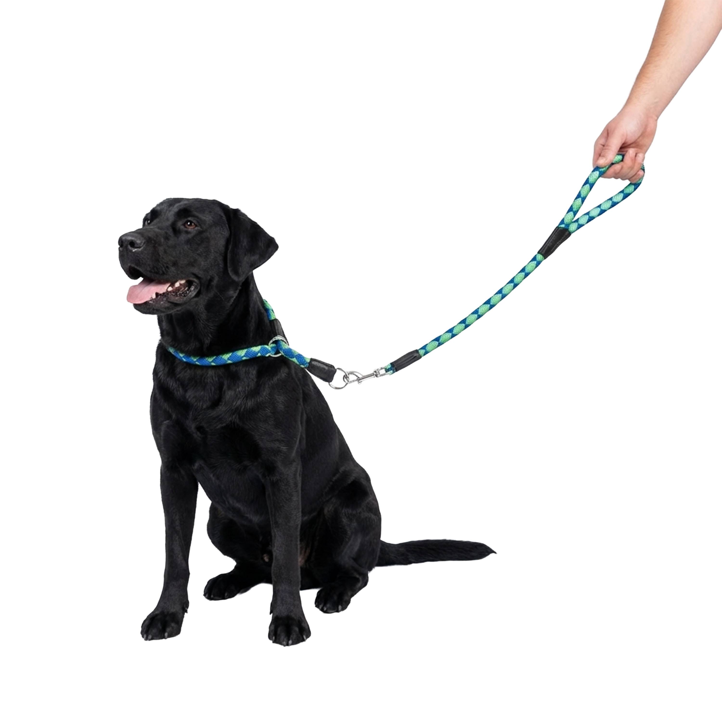 Ferplast - Laisse Courte pour Chiens en Nylon tressé TWIST MATIC GM18/60, avec Mousqueton Magnétique Automatique - Imagen 4