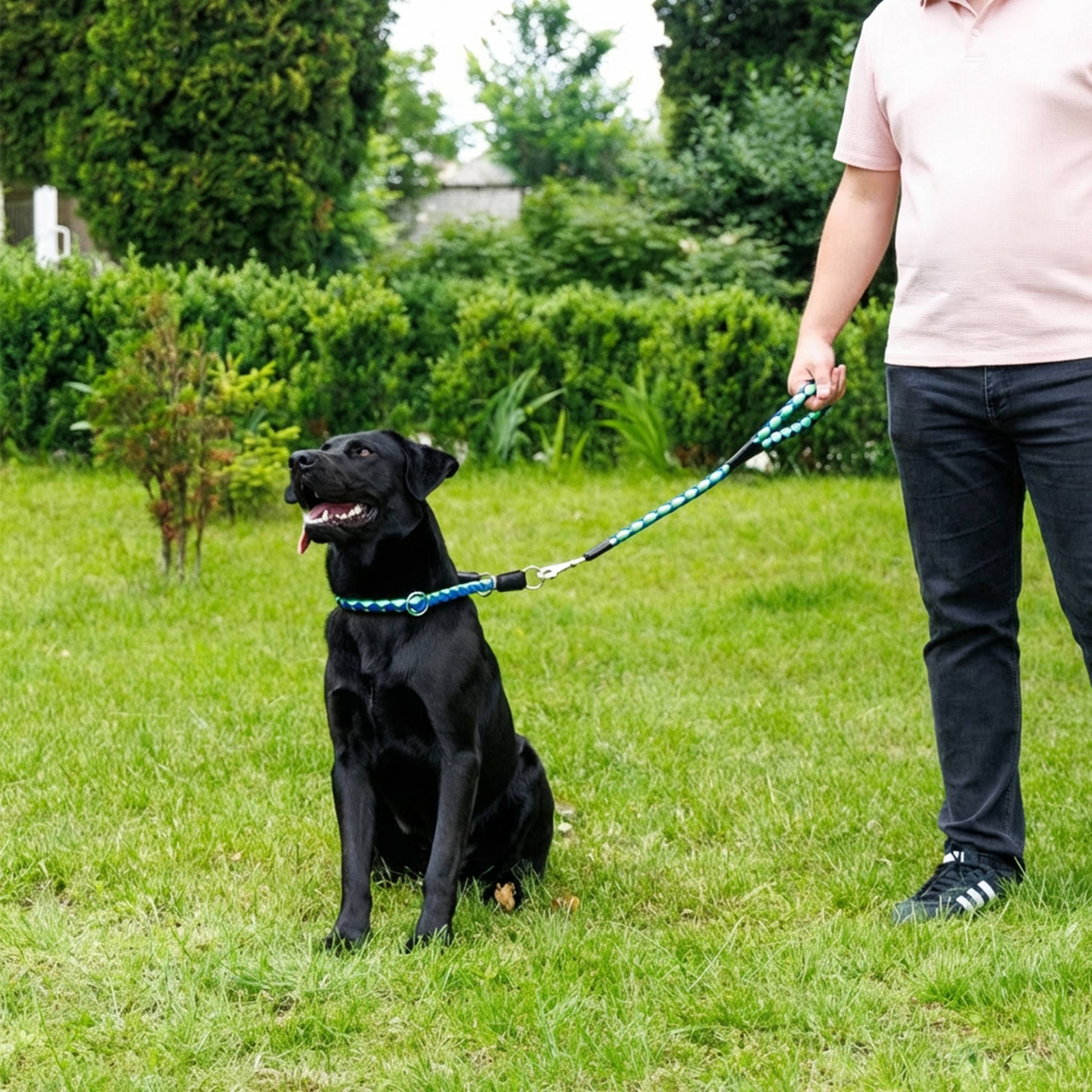 Ferplast - Laisse Courte pour Chiens en Nylon tressé TWIST MATIC GM18/60, avec Mousqueton Magnétique Automatique - Imagen 3