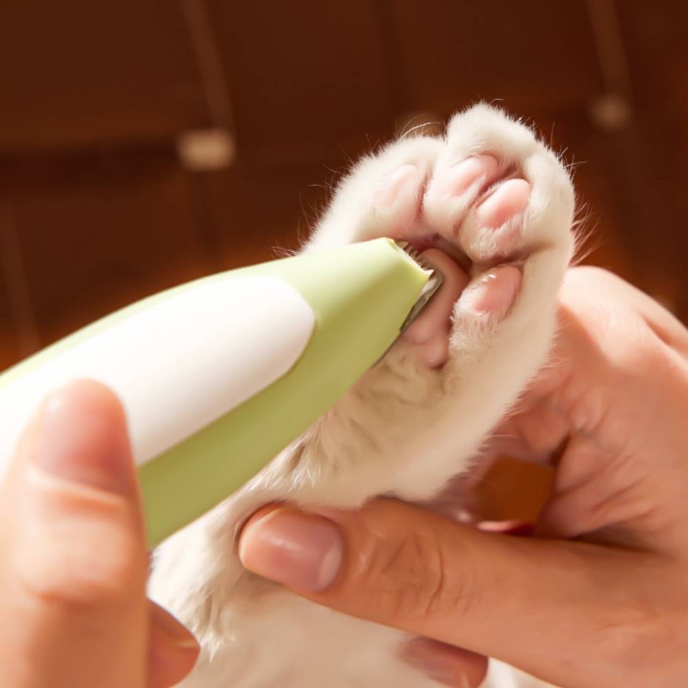 IntiMeg - Tondeuse pour pattes d'animaux avec lumière LED Vert IntiMeg - Image 7