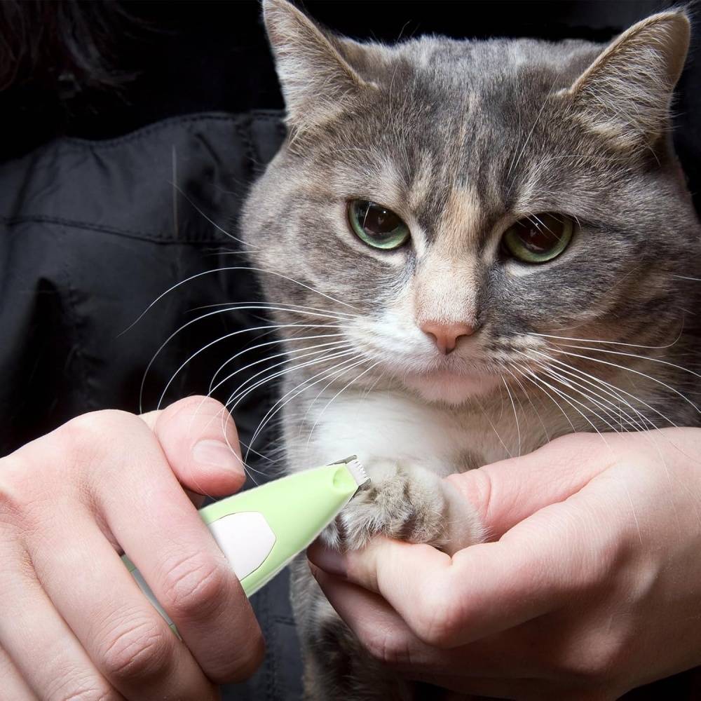 IntiMeg - Tondeuse pour pattes d'animaux avec lumière LED Vert IntiMeg - Image 5