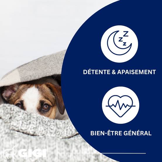 Stress Control Chiens et Chats 30 comprimés GIGI VET - Image 3