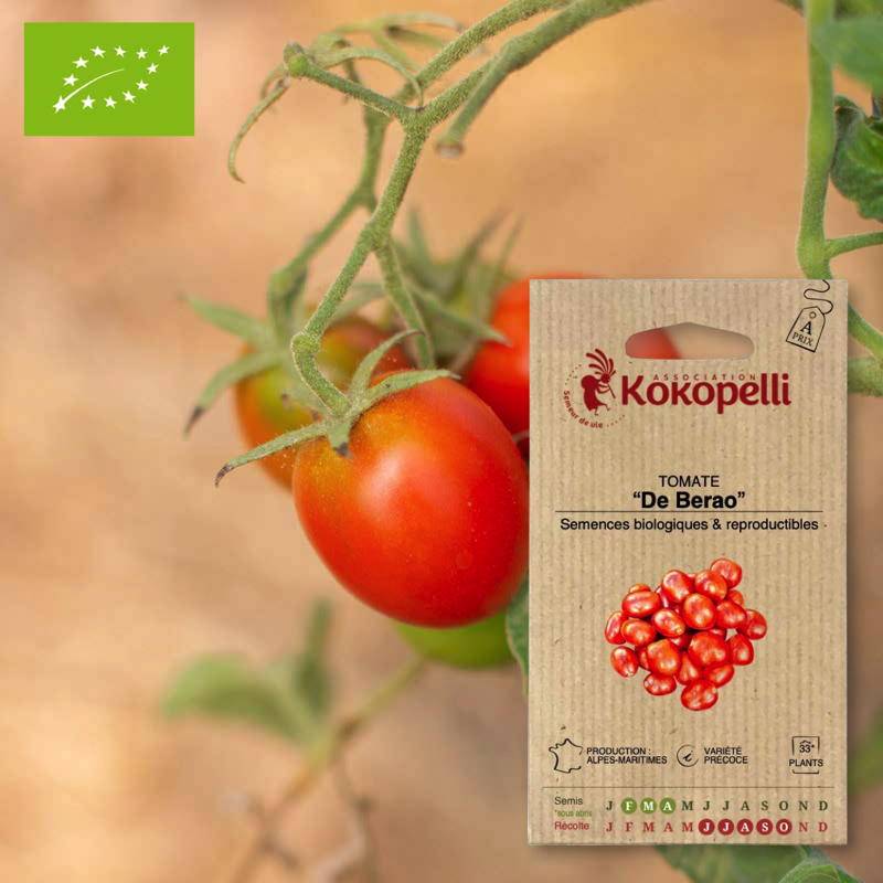 Tomate De Berao- Graines bio à semer - Imagen 1