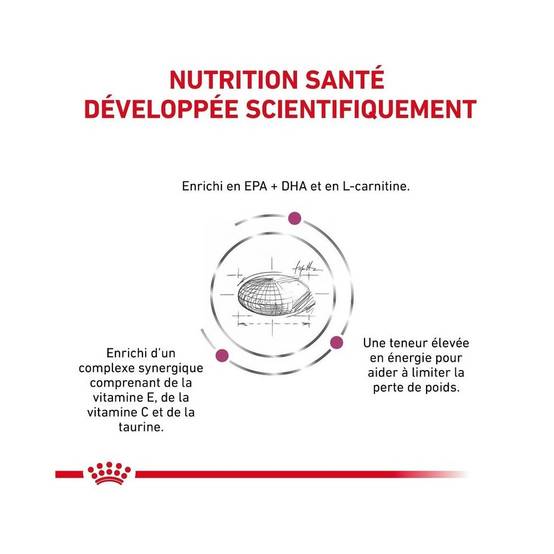 Royal Canin - Royal Canin Veterinary Diet Cardiac pour chiens - Sac de croquettes 7,5 kg - Image 4
