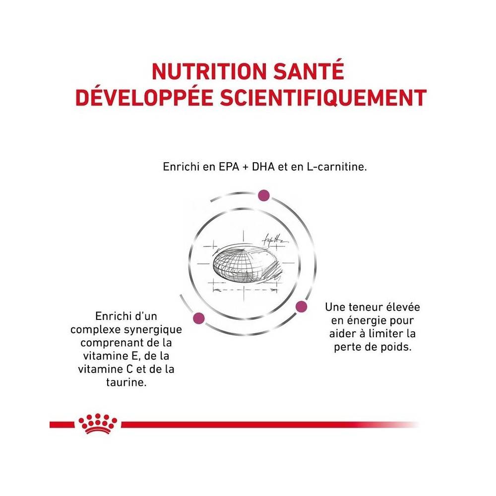 Royal Canin - Royal Canin Veterinary Diet Cardiac pour chiens - Sac de croquettes 7,5 kg - Image 4
