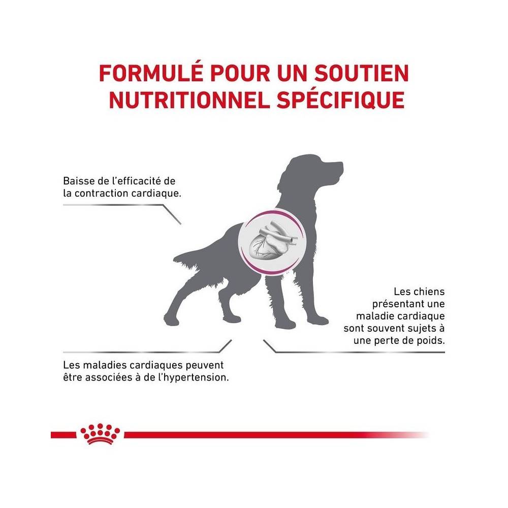 Royal Canin - Royal Canin Veterinary Diet Cardiac pour chiens - Sac de croquettes 7,5 kg - Image 2