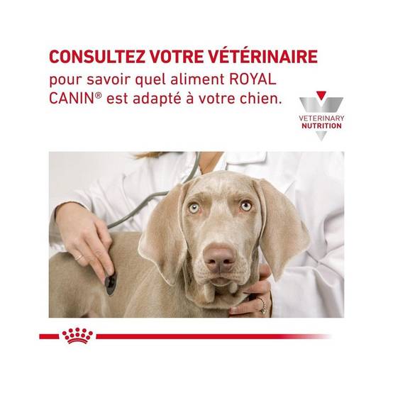Royal Canin - Royal Canin Veterinary Diet Cardiac pour chiens - Sac de croquettes 7,5 kg - Image 7