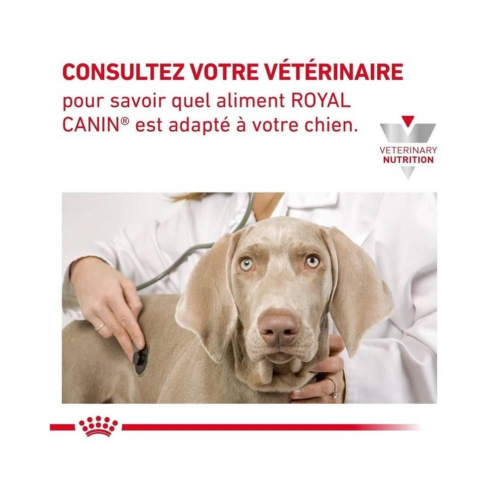 Royal Canin - Royal Canin Veterinary Diet Cardiac pour chiens - Sac de croquettes 7,5 kg - Image 7