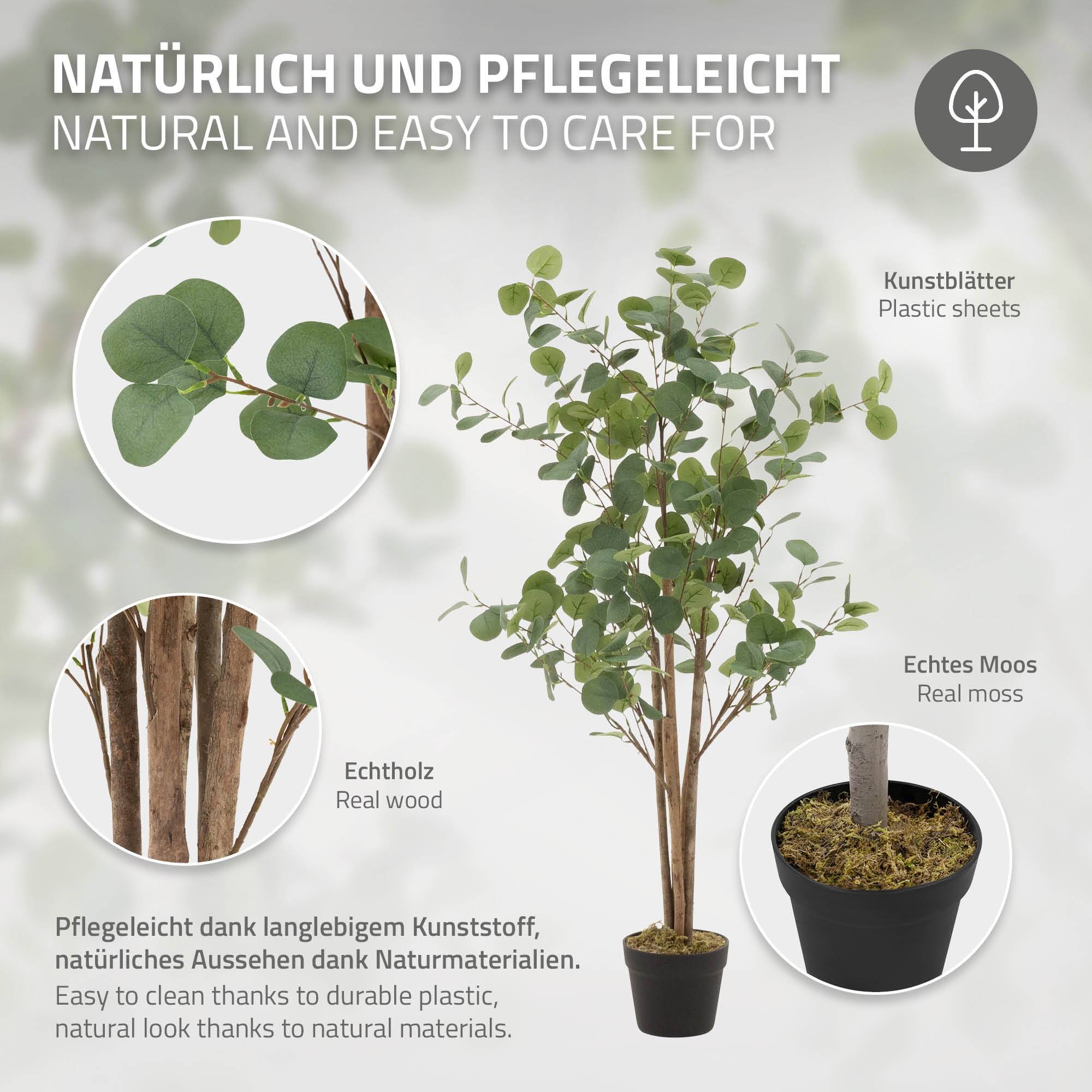 Sitemapcdatahttpsstileinfbizidbranche Eucalyptus Jardilandnull