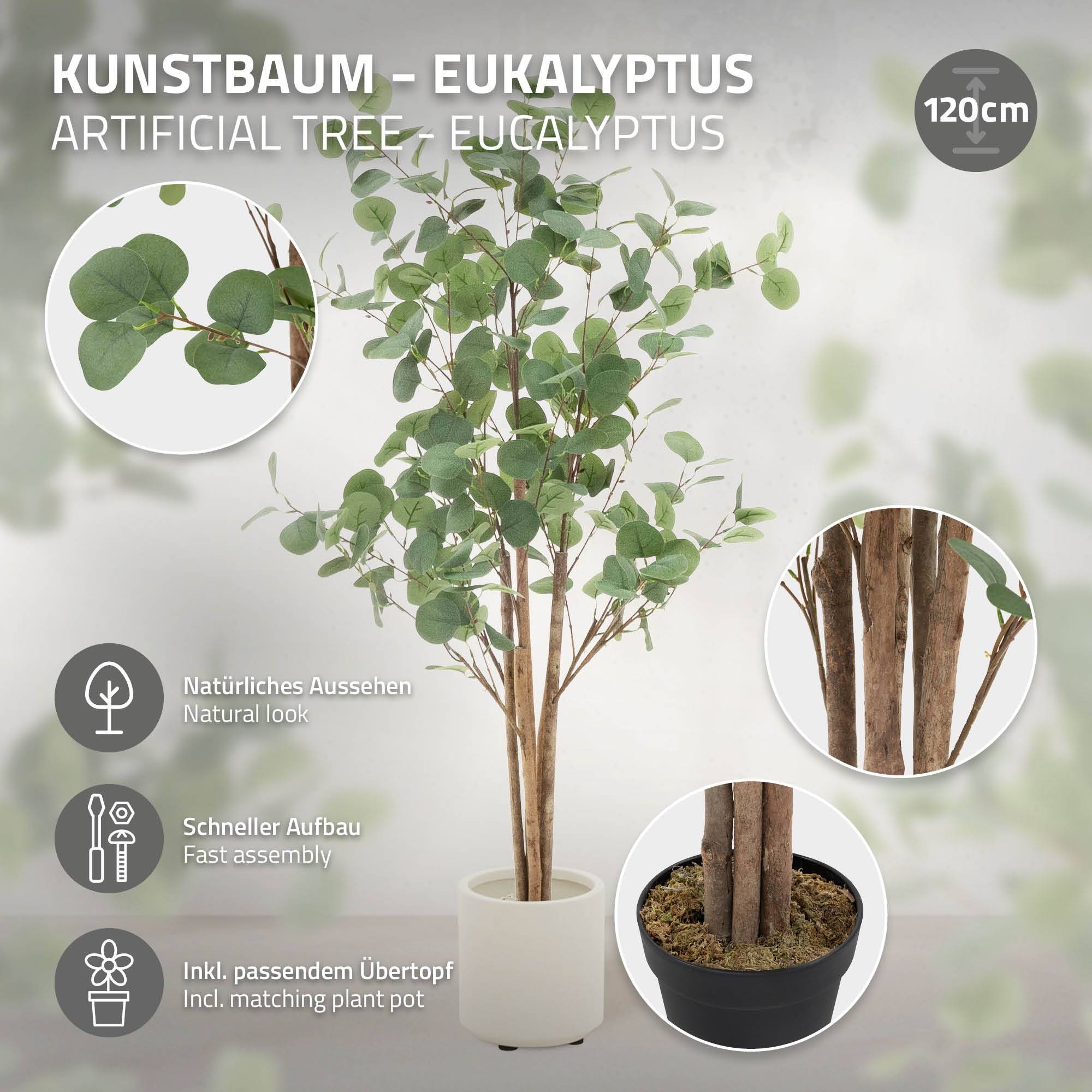 Sitemapcdatahttpswen2windecoocomprix Eucalyptus Jardiland