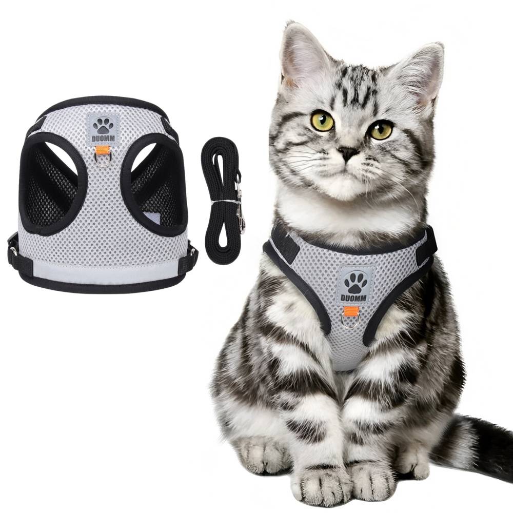 IntiMeg - Harnais réfléchissant pour chat xl - IntiMeg - Image 1