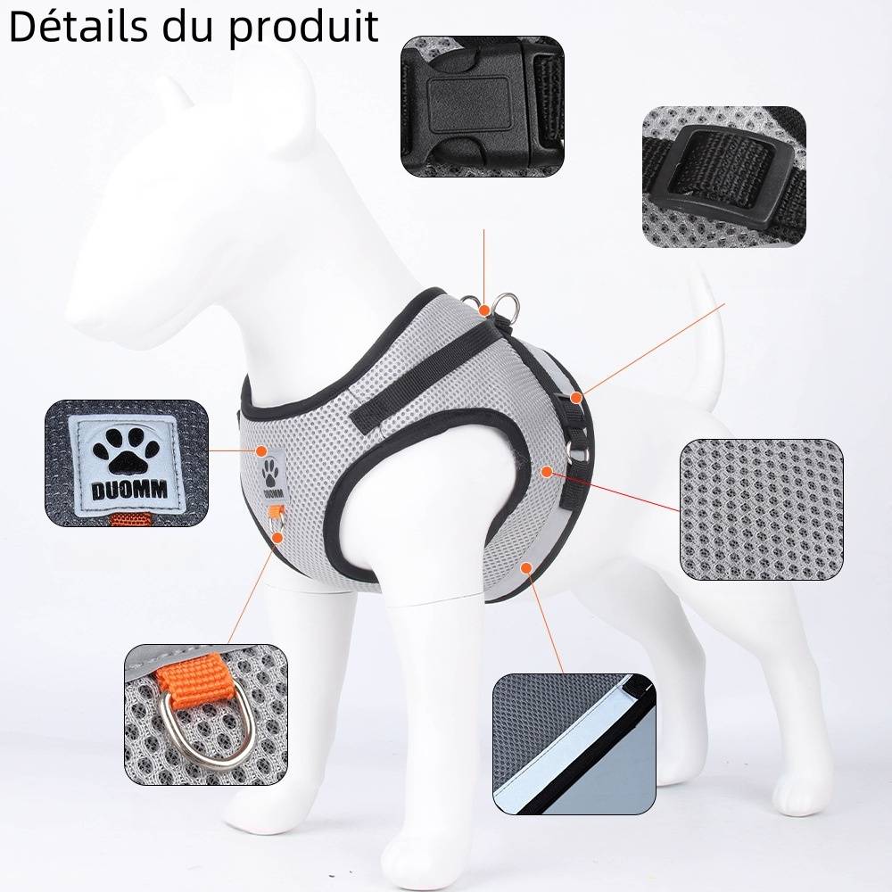IntiMeg - Harnais réfléchissant pour chat xl - IntiMeg - Image 2