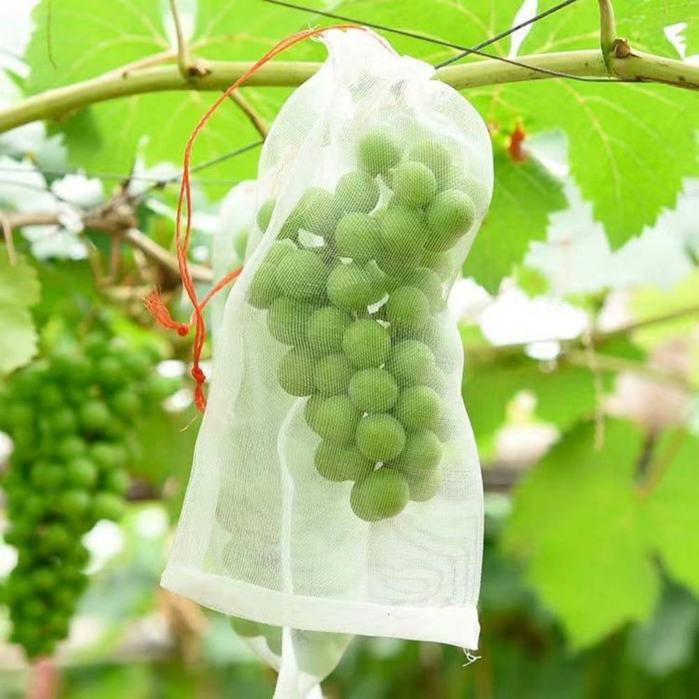 50 Sacs Protection Raisins Organza 30x20cm - Anti-Oiseaux/Insectes - Réutilisables - Jardin Bio - Image 4