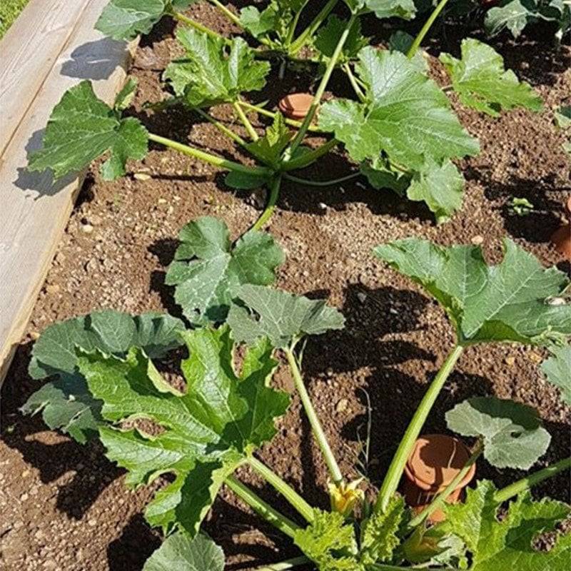 Ferme Du Moutta - Oya d'arrosage à enterrer 1,5 L en céramique faite main en France, taille M - Image 3