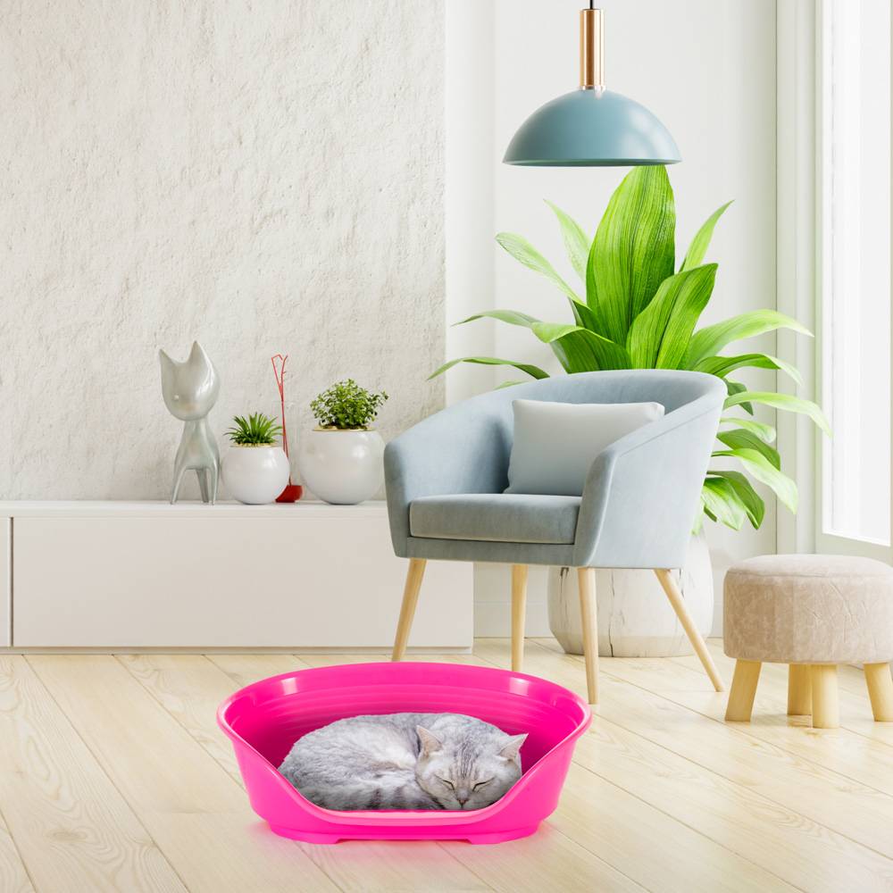 Ferplast - FERPLAST - Panier Chien Panier Chat  - Lit pour Chien en Plastique Small - 100% Plastique Recyclé - Lit pou Chat Lavable - Respirant  Antidérapant - - Image 4