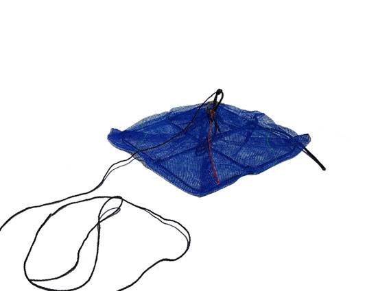 Pearl Nets, support de pré-grossisement des coquillages Fermeture scratch Bleu - Image 2