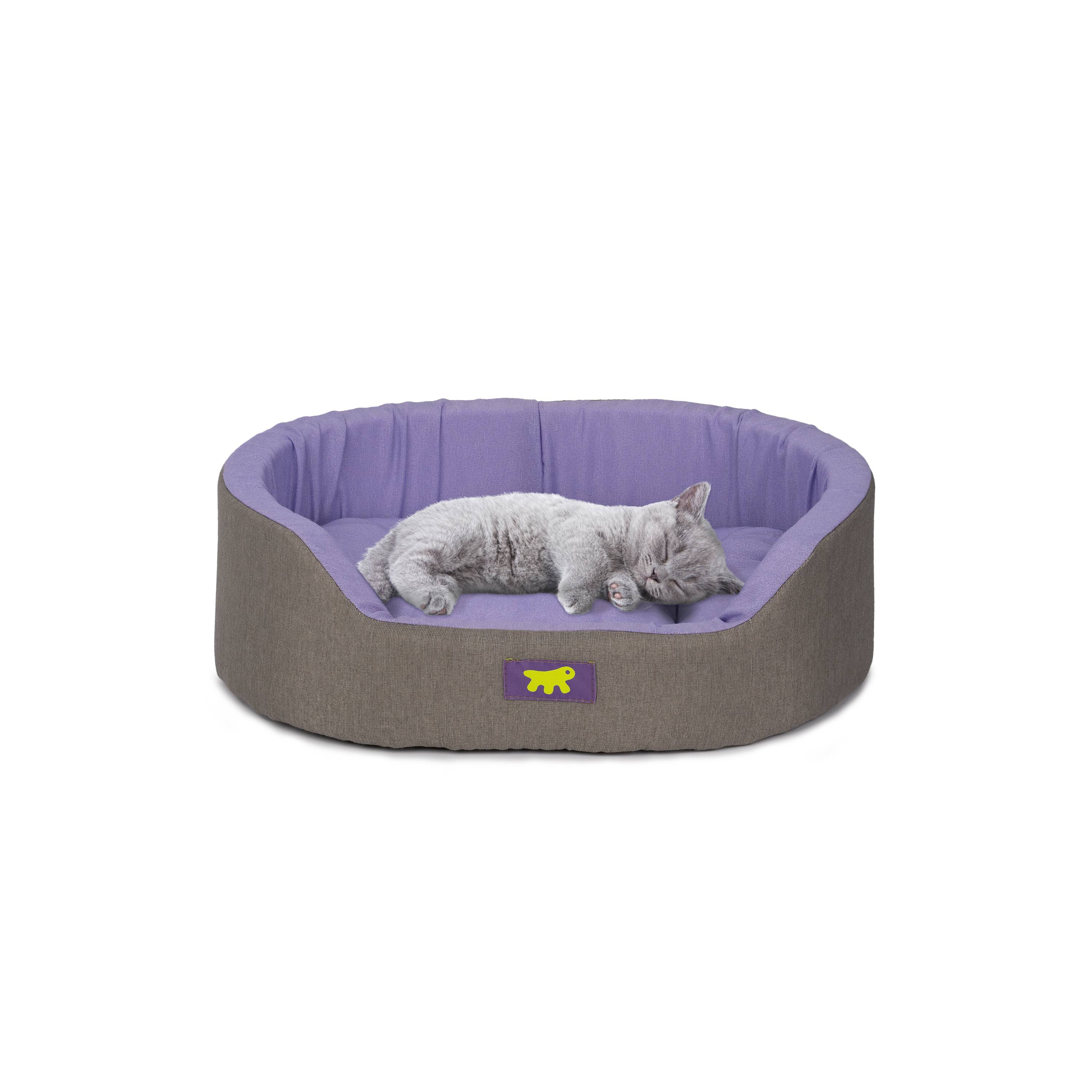 Ferplast - Ferplast Panier Chien Dandy, Coussin Amovible et Lavable, Housse en Coton avec Rembourrage Doux, Idéale Également comme Niche pour Chat, 55 x 41 x H - Imagen 4
