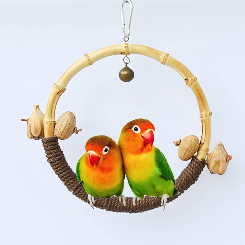 IntiMeg - Jouet pour oiseau Ring Swing IntiMeg - Image 2