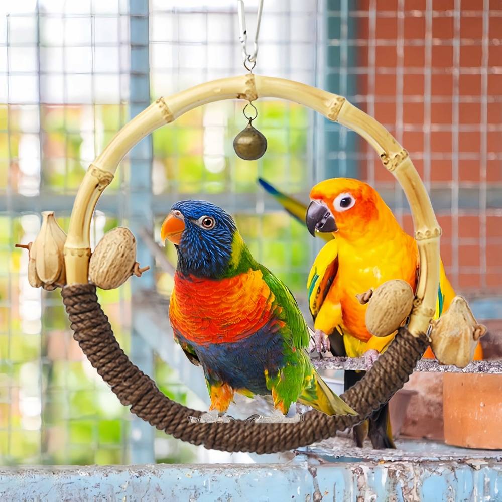 IntiMeg - Jouet pour oiseau Ring Swing IntiMeg - Image 3