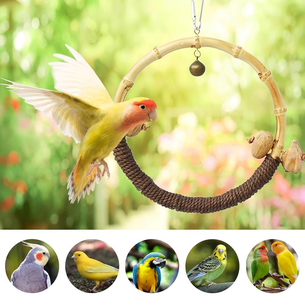 IntiMeg - Jouet pour oiseau Ring Swing IntiMeg - Image 4