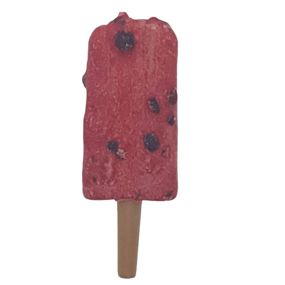 Trixie - Trixie - Snack friandise Ice POP myrtilles rouge  55 g  pour chien - Image 2