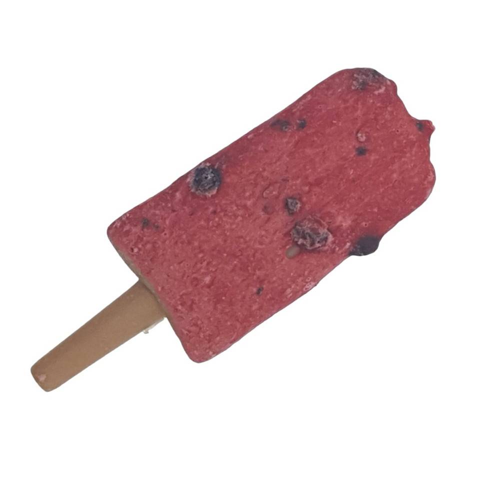 Trixie - Trixie - Snack friandise Ice POP myrtilles rouge  55 g  pour chien - Image 3