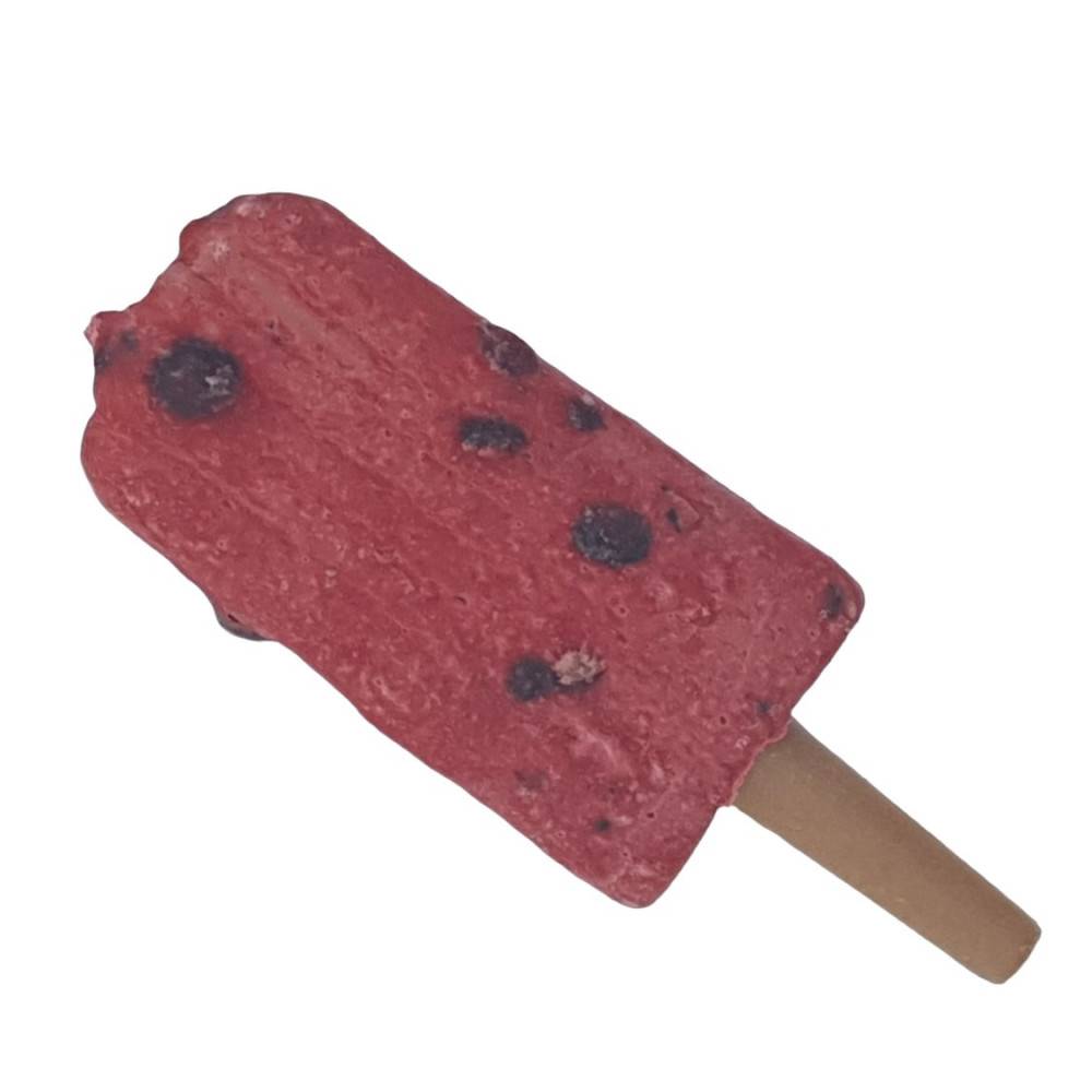 Trixie - Trixie - Snack friandise Ice POP myrtilles rouge  55 g  pour chien - Image 1