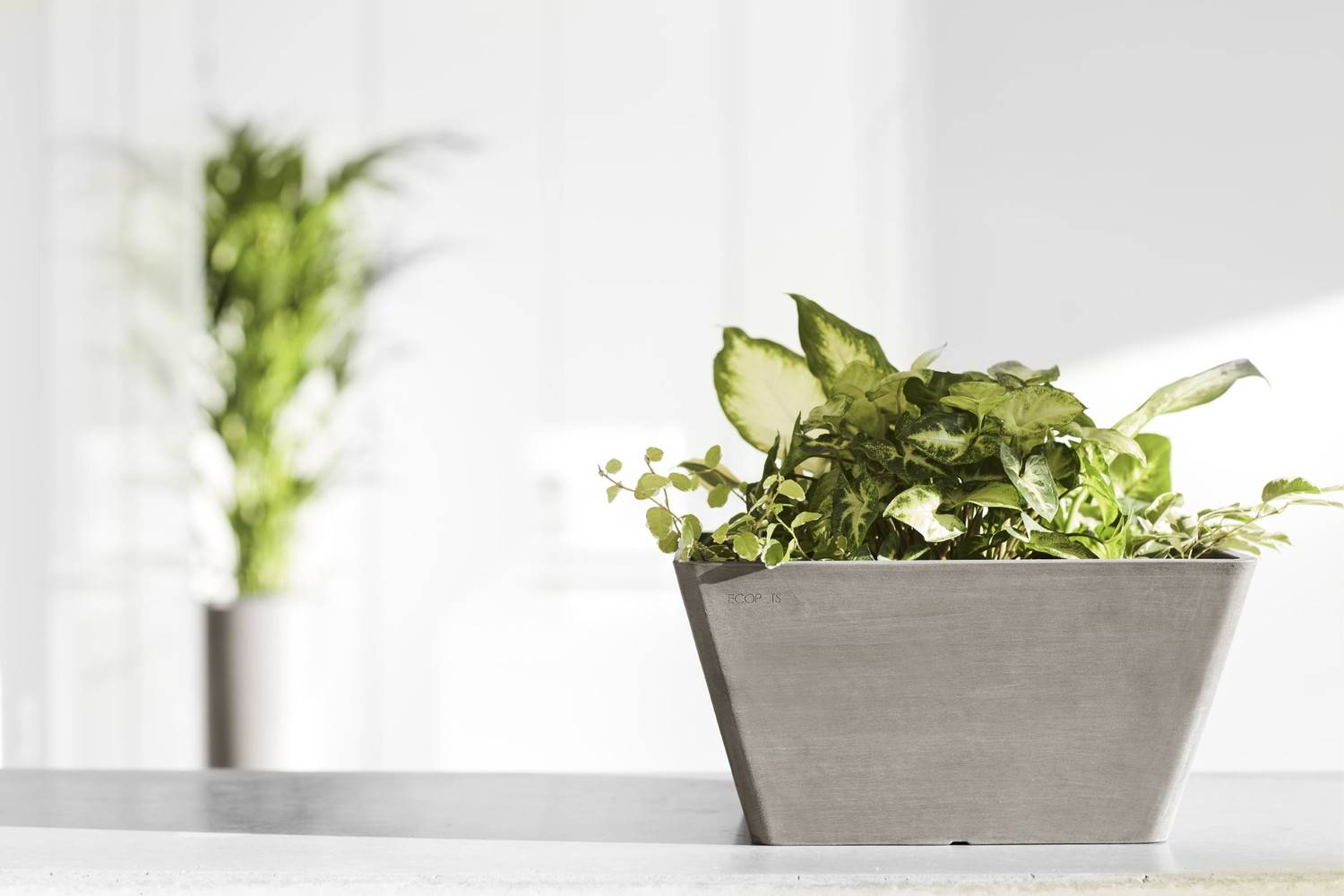 Ecopots - Pot Carré Berlin 30 Taupe - 31 x 31 x H. 15,5 cm - 10 L ECOPOTS - Imagen 5