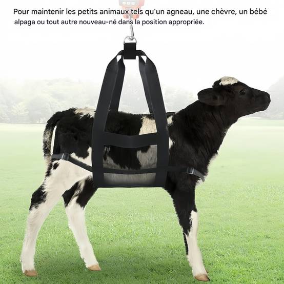 IntiMeg - Ceinture de pesée pour animaux de compagnie IntiMeg - Image 2