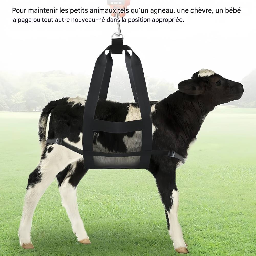 IntiMeg - Ceinture de pesée pour animaux de compagnie IntiMeg - Image 2