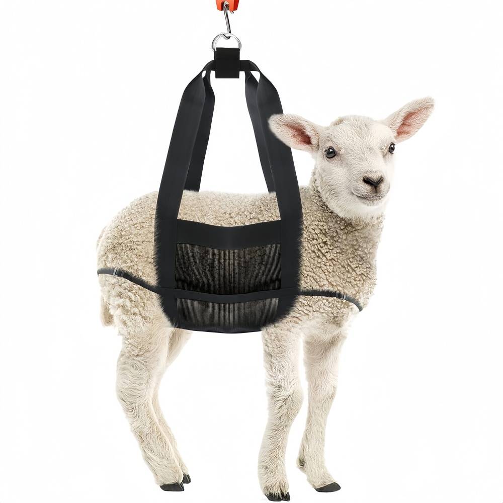 IntiMeg - Ceinture de pesée pour animaux de compagnie IntiMeg - Image 1