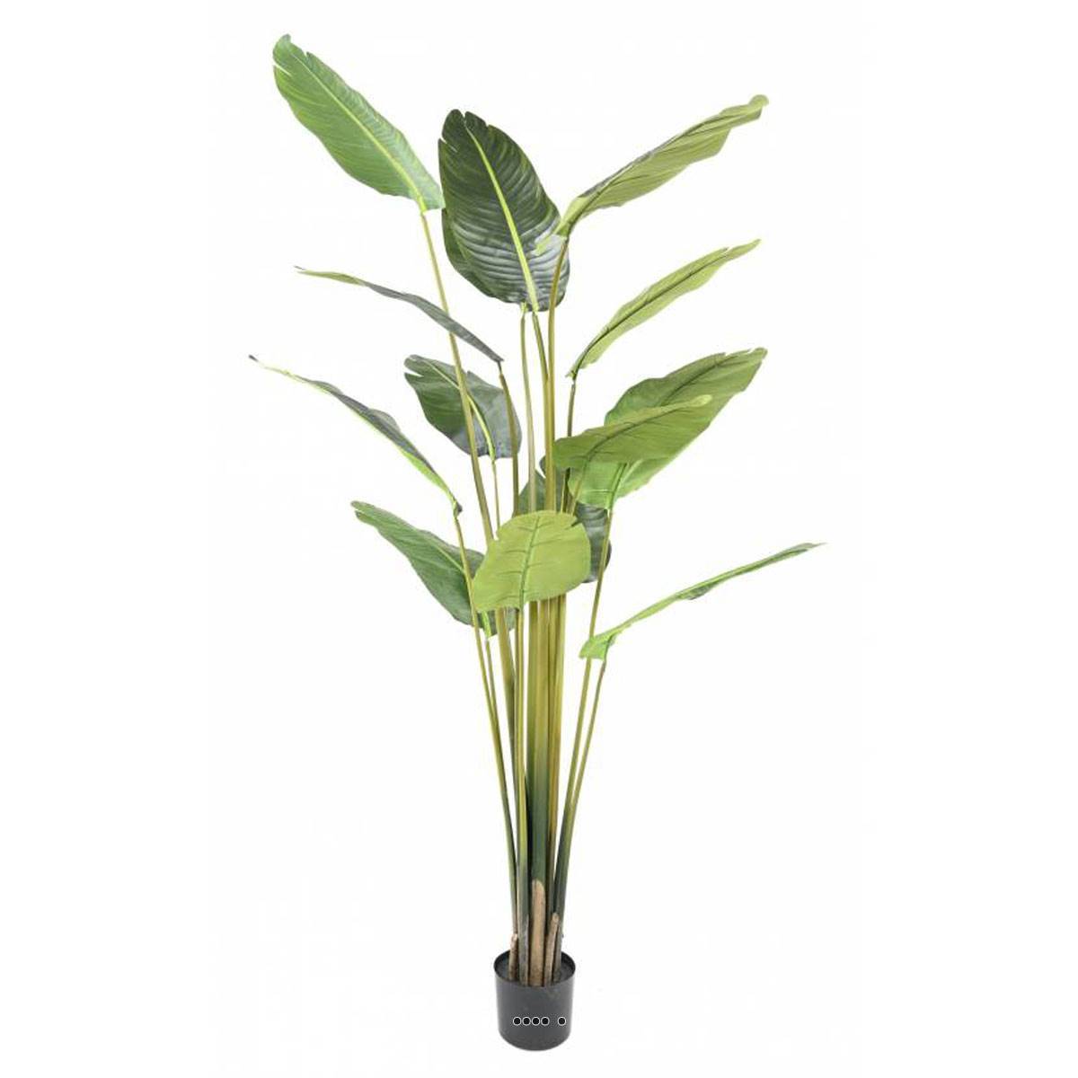 Artificielles - Palmier Arbre du voyageur artificiel H 220 cm en pot 14 feuilles
