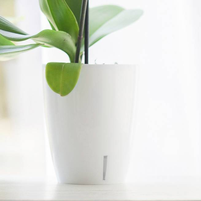 Gt Garden - Lot de 3 pots pour orchidées avec réserve d'eau - Orchidea blanc 2 litres - GT GARDEN - Imagen 5