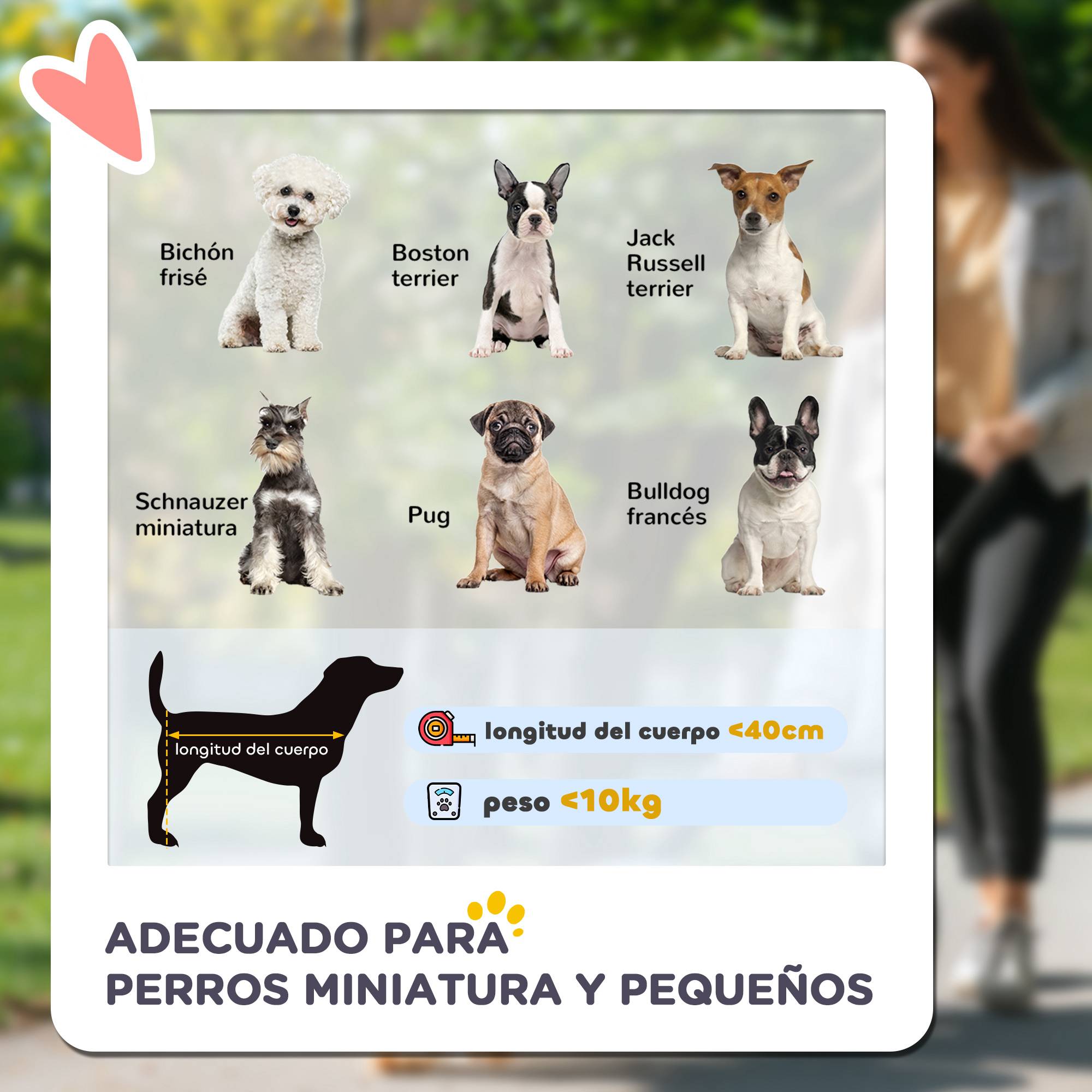 Poussette pliable pour petits chiens, avec wagon détachable, 4 portes zippées, grise - Image 6