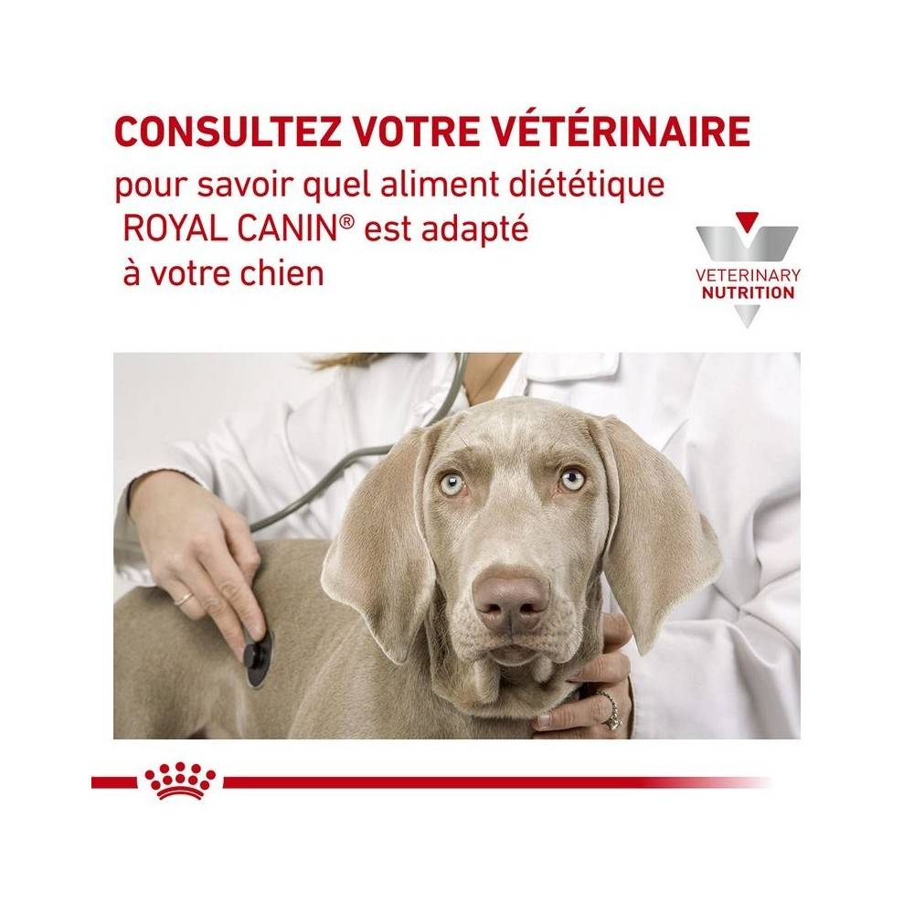 Royal Canin - Croquettes chien VETERINARY DOG SKIN CARE - Royal Canin 2 kg - Imagen 3