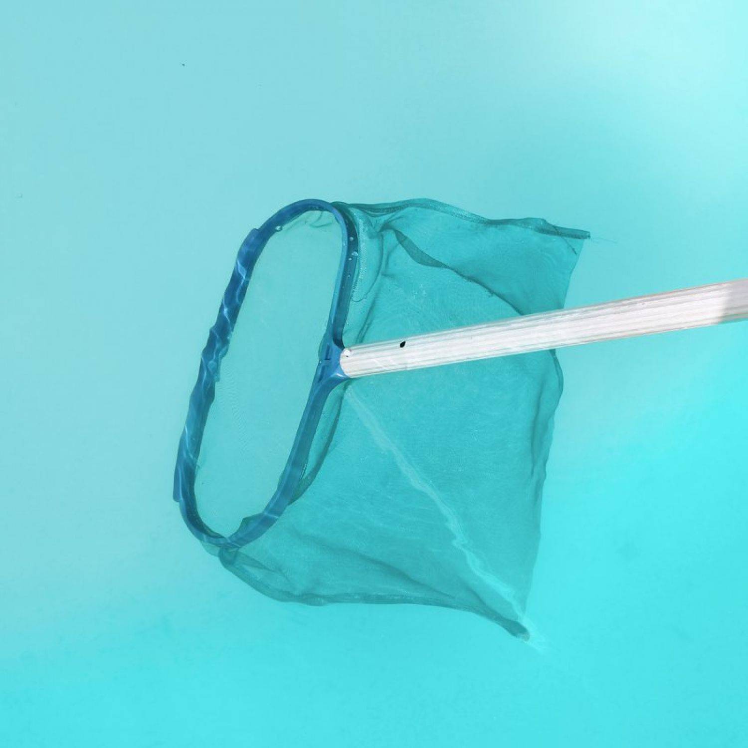 Linxor - Tête d'épuisette de fond bleu pour piscine adaptable sur manche standard ou télescopique - Linxor - Imagen 3