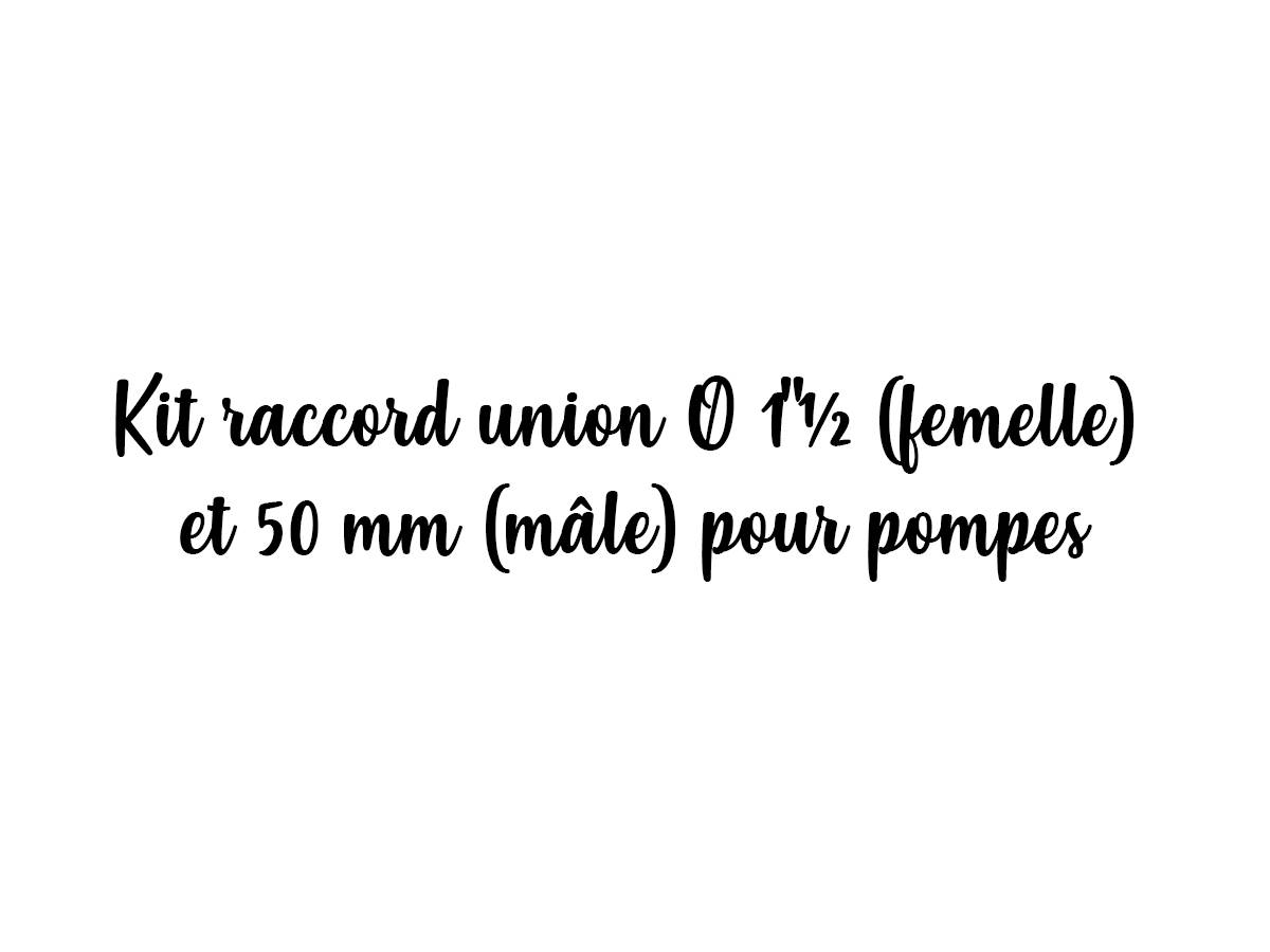 Kit raccord union Ø 1"½ (femelle) et 50 mm (mâle) pour pompes - Pentair - Imagen 2