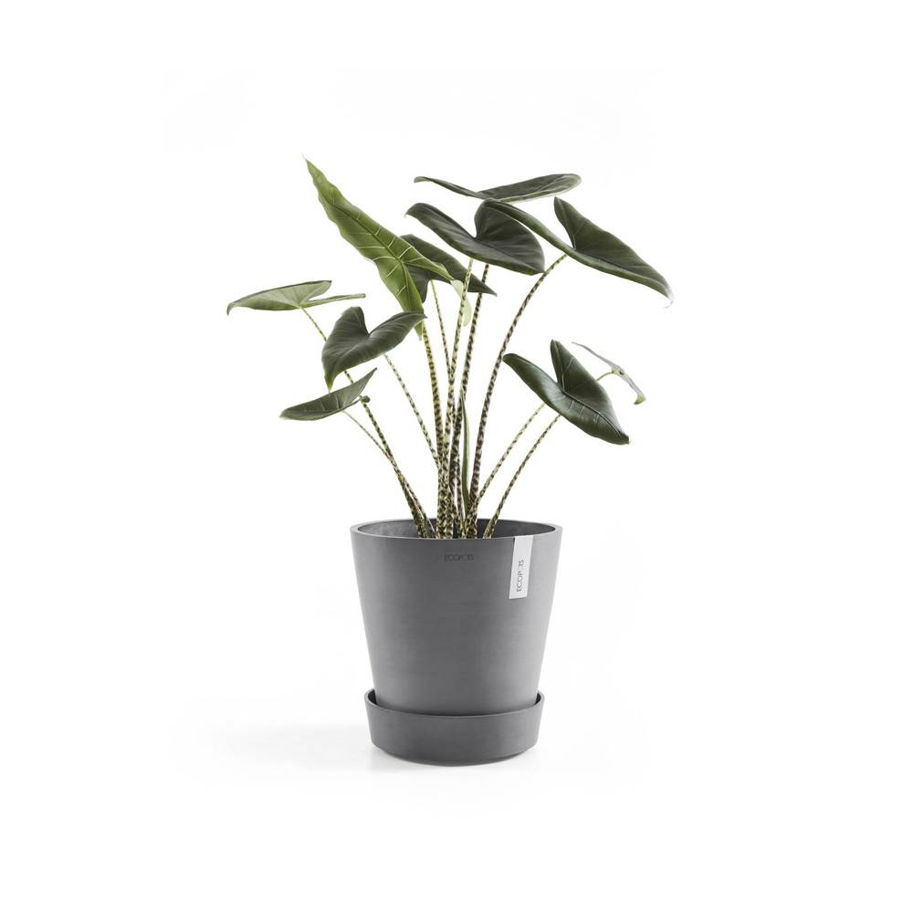 Ecopots - Support à roulettes Wheels 50 Gris - Ø 41,6 x H. 9 cm ECOPOTS - Imagen 3