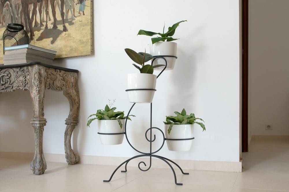 Louis Moulin - Porta plantas clave de sol antracita H. 80 para maceta 20 cm - Acero epoxi Louis Moulin - Imagen 3